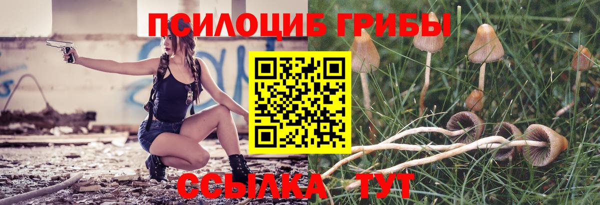 Псилоцибиновые грибы Psilocybine cubensis  Вход с VPN  купить наркотики сайты  Карачаевск 