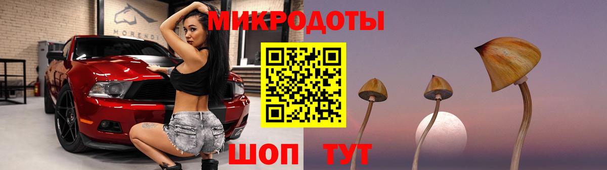 Галлюциногенные грибы ЛСД Карачаевск